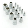 Silverline 675072 - Jeu de 14 douilles femelles Torx E4-E24